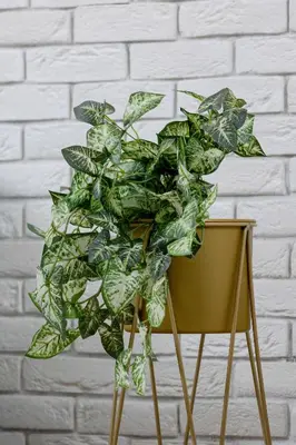 a green plant sitting on top of a chair at Nowoczesny & Klimatyzowany Apartament z Parkingiem by Noclegi Renters in Kraków