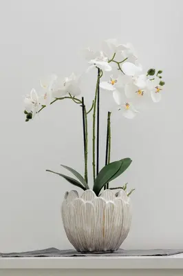 a white orchid arrangement in a white vase at Nowoczesny & Klimatyzowany Apartament z Parkingiem by Noclegi Renters in Kraków