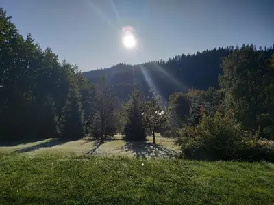 a sun shining on a field with trees at Domek Ciśniawa in Sidzina
