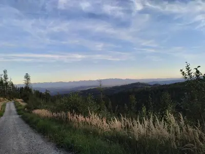 a dirt road on the side of a mountain at Domek Ciśniawa in Sidzina
