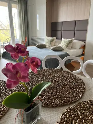 a room with a table with a potted plant on it at Cubicle 52 Terrace & Free Parking in Kraków