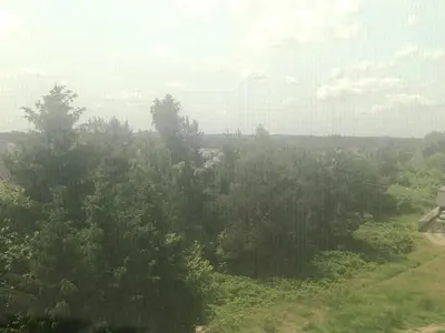 a view of a forest of trees from a window at apartament przytulny in Ogrodzieniec