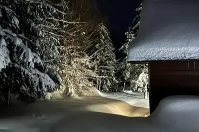a snow covered forest with snow covered trees at Gorczańska Chata Lubomierz in Lubomierz