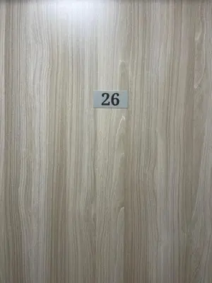 a wooden door with the number on it at Sunflower Apartment Bałuckiego Street in Kraków