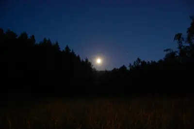 a full moon rising over a field at night at Wiśniowe Zacisze - Agroturystyka in Sułkowice