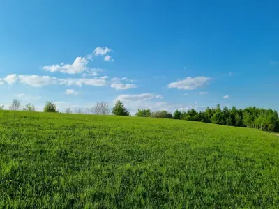 a field of green grass with a blue sky at Wiśniowe Zacisze - Agroturystyka in Sułkowice