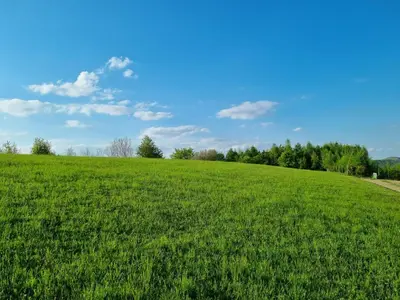 a field of green grass with a blue sky at Wiśniowe Zacisze - Agroturystyka in Sułkowice