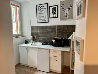 a kitchen with a sink and a microwave on a counter at Wolnica Apartament 1 in Kraków