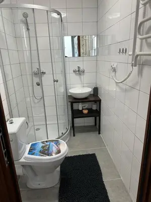 a bathroom with a shower and a toilet and a sink at Wolnica Apartament 1 in Kraków