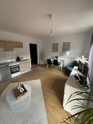 a large living room with a kitchen and a living room at Cozy Studio Apartment Krakow in Kraków