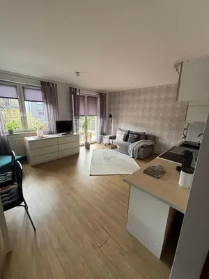 a large living room with a couch and a table at Cozy Studio Apartment Krakow in Kraków