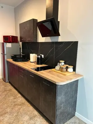 a kitchen with a counter with a stove and a refrigerator at La Ville - Rouge in Zator