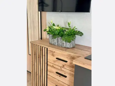 a kitchen counter with two potted plants on it at Jungle Apartment in Kraków