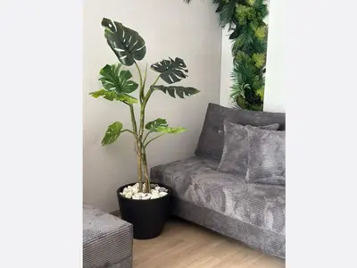 a plant in a black pot next to a couch at Jungle Apartment in Kraków