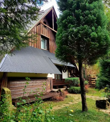 a house with a tree in front of it at Dom Pod Salamandrą Koninki in Poręba Wielka