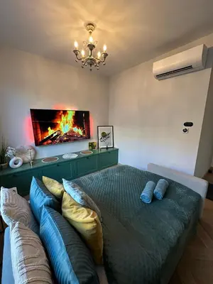 a bedroom with a bed and a tv and a couch at Heron Apartment - Old Town Kraków in Kraków