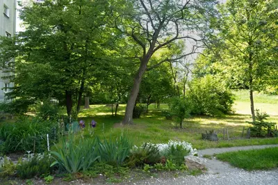 a garden with flowers and trees and a sidewalk at Apartment Azory in Kraków