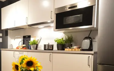a kitchen with a sunflower on a kitchen counter at KING JAGIELLO Apartment in Kraków