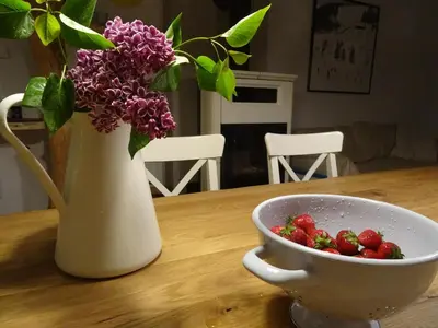 a white vase and a bowl of strawberries on a table at Willa Potoczówka in Rzyki
