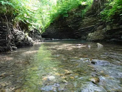 a stream with rocks in the middle of a forest at Willa Potoczówka in Rzyki