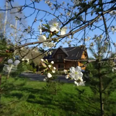 Willa Potoczówka