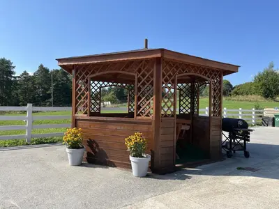 a wooden gazebo with two potted plants at Agroturystyka Nad Lasem - Domki w górach in Toporzysko