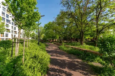 a path in a park with trees and a building at Malila Premium Apartments Cracow Rakowicka 437 in Kraków