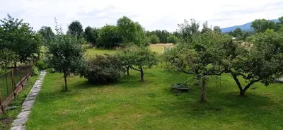 an apple orchard with apple trees in a field at Apartament Szóstka nad Sołą in Czaniec