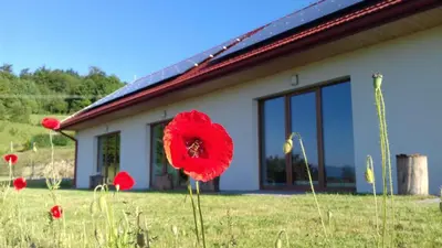 a red flower in the grass in front of a building at Las Góra Natura in Laskowa