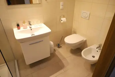 a bathroom with a sink and a toilet at Las Góra Natura in Laskowa