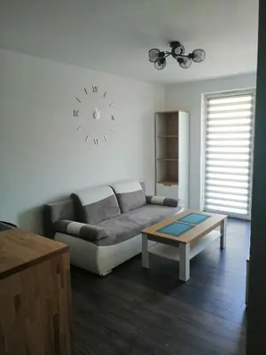 a living room with a couch and a clock on the wall at Fajny Apartament EXPO TAURON ARENA in Kraków