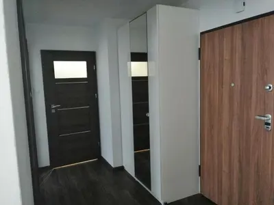 a hallway with a black door and a mirror at Fajny Apartament EXPO TAURON ARENA in Kraków