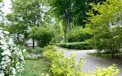 a path in a garden with trees and white flowers at Vista Kraków Ugorek in Kraków