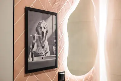a mirror on a wall with a dog brushing its teeth at Między Wawelem a Rynkiem in Kraków