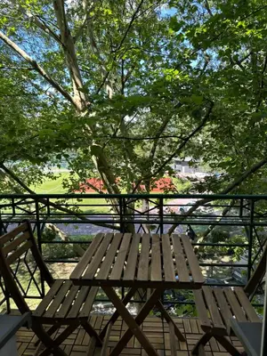 a wooden bench sitting on a deck under a tree at Między Wawelem a Rynkiem in Kraków