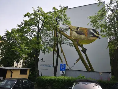 a large billboard with a bird perched on a tree at Apartamenty Asia Kraków in Kraków