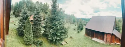 an aerial view of a barn and trees at Chatka na Lipowych Wzgórzach in Marcówka