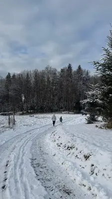 two people walking down a snow covered road with an umbrella at Chatka na Lipowych Wzgórzach in Marcówka