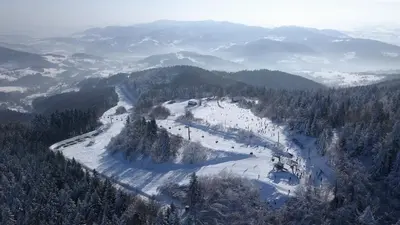 a snow covered slope with trees on a mountain at GOLaskowa in Laskowa