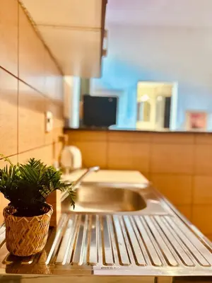 a kitchen with a sink and a potted plant on a counter at BD KRAKOW Apart Hotel in Kraków