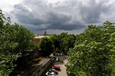 a group of cars parked on a street with trees at Old Town Wooden Loft Apartment by BookingHost in Kraków