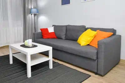 a living room with a gray couch with colorful pillows at JJ Apartment Zator Energylandia in Zator