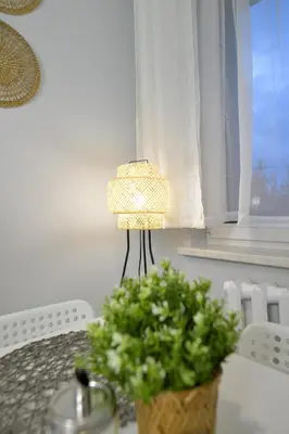 a lamp sitting on a table next to a plant at JJ Apartment Zator Energylandia in Zator