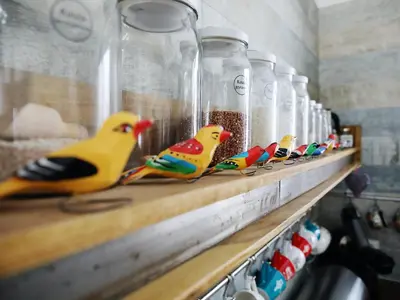 a row of glass jars filled with birds on a shelf at Babie Zacisze in Zawoja