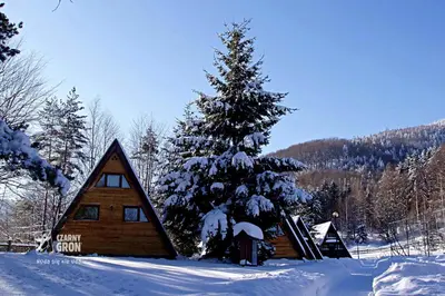 a cabin in the snow with a christmas tree at Domki Czarny Groń in Rzyki