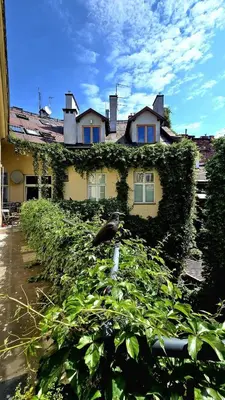 a house with ivy growing on the side of it at ATELIER Kazimierz in Kraków