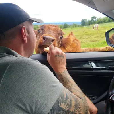 a man feeding a cow from a car window at Uszate Ranczo in Rybna