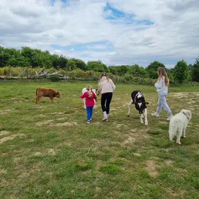 three women and a child walking in a field with cows at Uszate Ranczo in Rybna