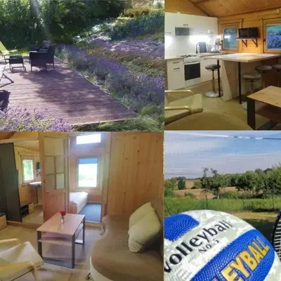 Lavender Retreat