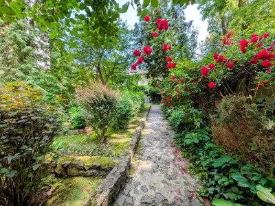 a path in a garden with red roses at Krowoderska 53 by Homeprime in Kraków